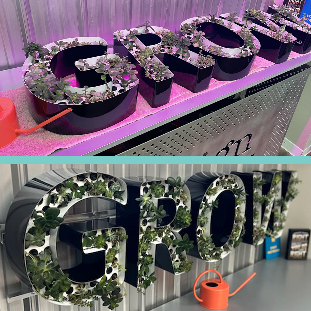 grow, grow letters, channel letters, plant letters, vertical garden, plant letters, plant logo, custom letters, wall planter, letter planter, vertical planter, open channel letters, moss wall, plant wall