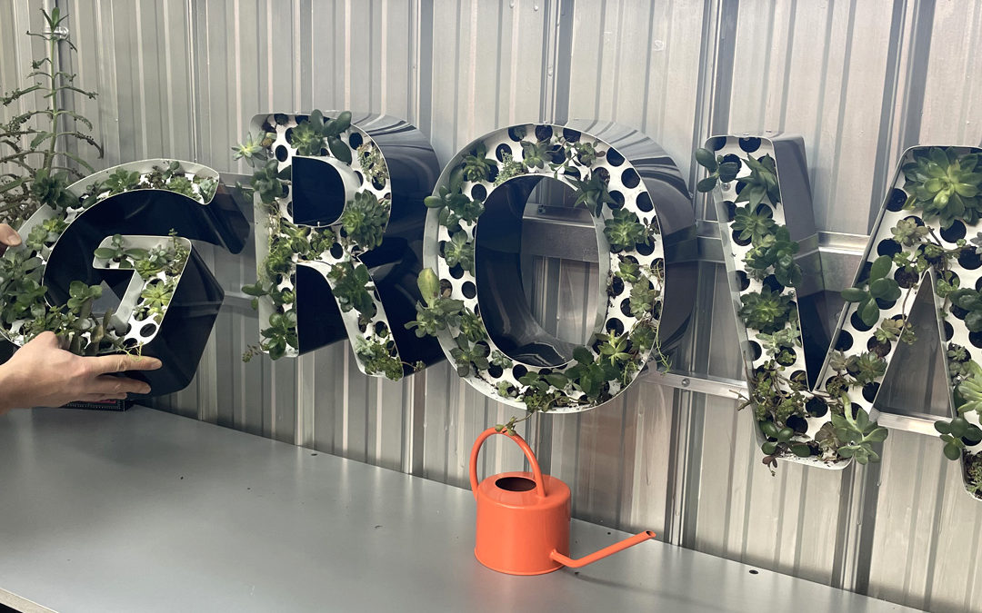 grow, grow letters, channel letters, plant letters, vertical garden, plant letters, plant logo, custom letters, wall planter, letter planter, vertical planter, open channel letters, moss wall, plant wall
